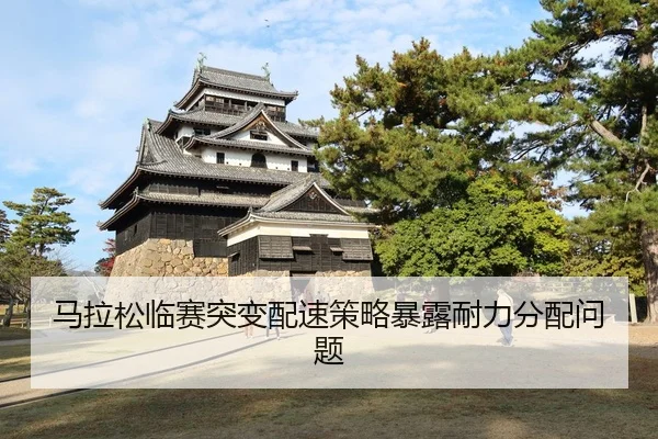 马拉松临赛突变配速策略暴露耐力分配问题